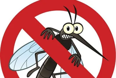 DENGUE