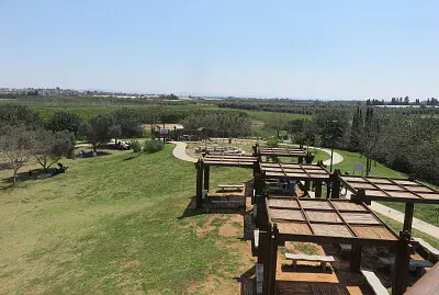 נחל הצבים