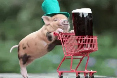 meu amigo Eli voltando do mercado... igualzinho