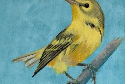 bird