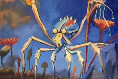 spider