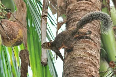 ImÃ¡genes jigsaw puzzle