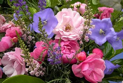 Blumenstrauß