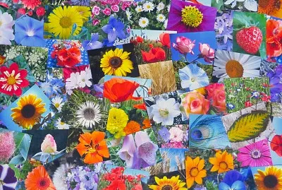 Blumen Collage