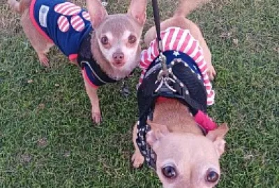 4th of July