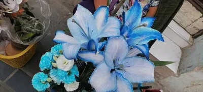 Flores azules