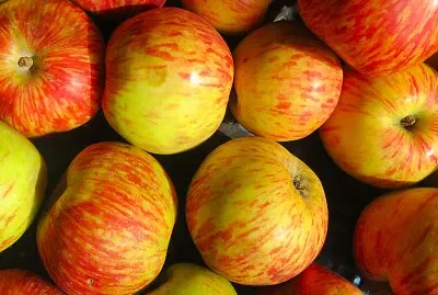 Äpfel