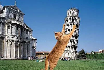 Gato invade italia jigsaw puzzle