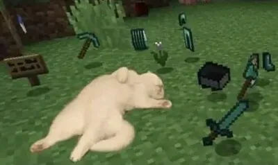 Gato minecraft jigsaw puzzle