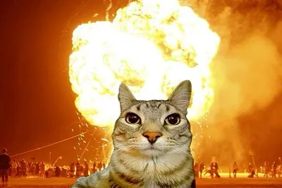 Gato malvado