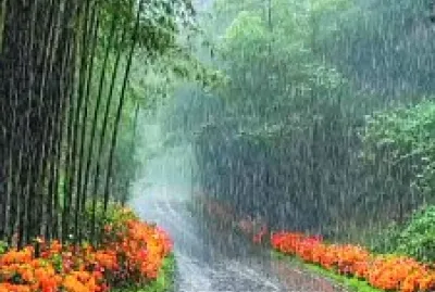 lluvia jigsaw puzzle