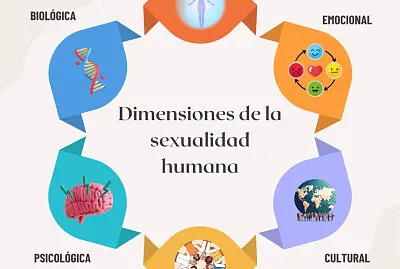 la sexualidad humana