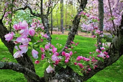 ImÃ¡genes jigsaw puzzle