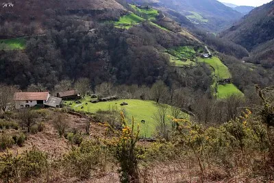 Bidarray