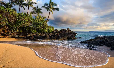 Playita soñada jigsaw puzzle