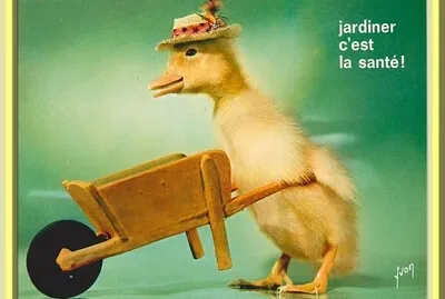 Saturnin