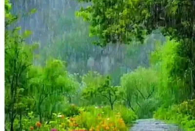 lluvia jigsaw puzzle