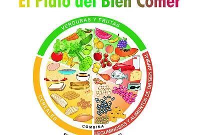 plato del buen comer