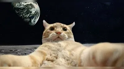 Gato en el espacio