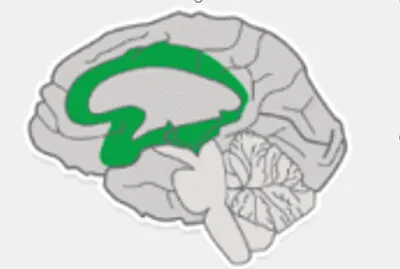 RESUELVE EL SIGUIENTE RETO Y DESCUBRE LA IMAGEN