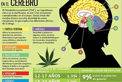 FERIA DE  LA SALUD