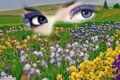 jogos de quebra cabeÃ§a jigsaw puzzle