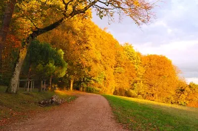 Herbst