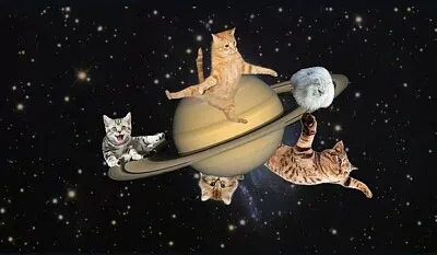 Gatos en saturno