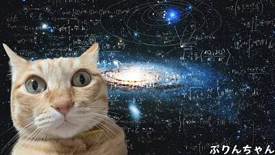 Gato tonto