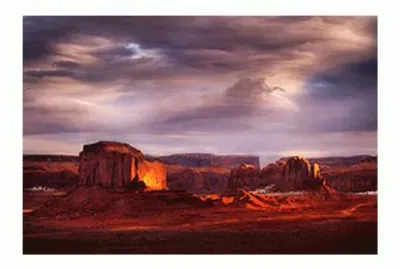 Arizona Desert Beauty