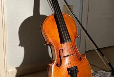 Violin
