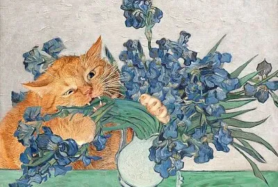 Gato comiendo flores