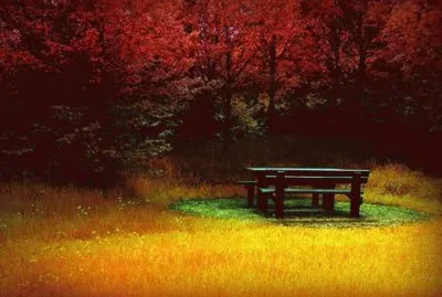 gostoso jigsaw puzzle