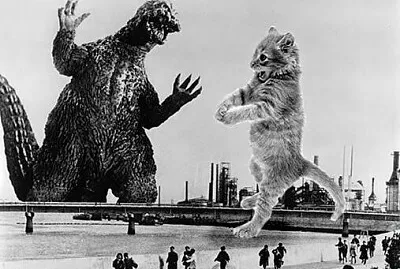 Gato vs Godzilla 3
