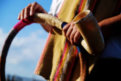 4 piezas y de corte lineal