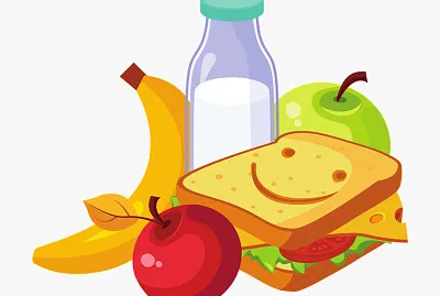 nutrición en plantas y animales