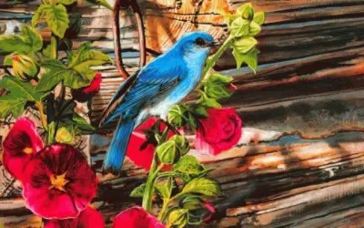 פאזל של PÃ¡ssaro Azul