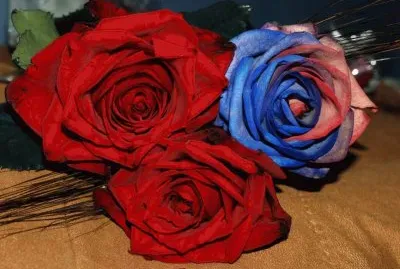 פאזל של Rosas Vermelhas e Azul