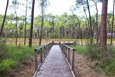 Les Tourbières de Mees