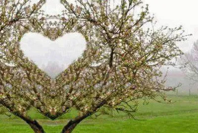 פאזל של CoraÃ§Ã£o