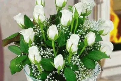 פאזל של Rosas Brancas