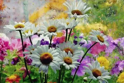 פאזל של Margaridas