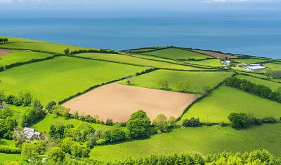 פאזל של Campo en el mar