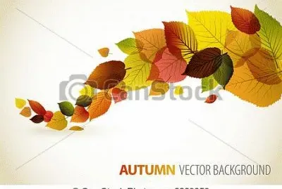 foto jigsaw puzzle
