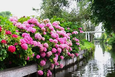 Giethoorn, Holland