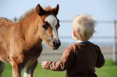 Charlando 11 jigsaw puzzle