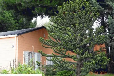 imagen jigsaw puzzle