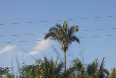 natureza