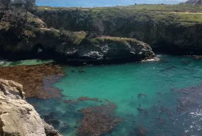 Tide Pool-Point Lobos State Reserve