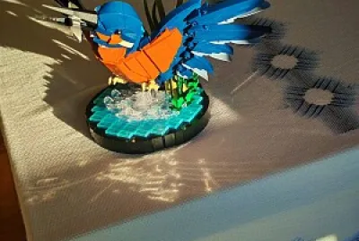 Uccello Martin Pescatore